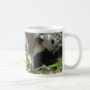 Recherche de un panda géant tasses Pandas
