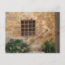 Recherche de pienza cartes postales Jones