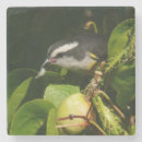Zoek naar steen fotografie Natuur