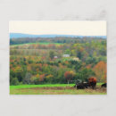 Recherche de angus cartes postales Vache