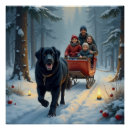 Recherche de chien terre neuve posters Toute personne