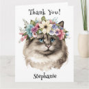 Recherche de ragdoll vœux cartes Yeux bleus