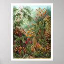 Recherche de historique art Vintage