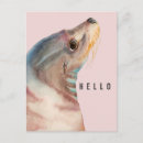 Recherche de lion mignon cartes postales Lion de mer