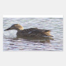 Zoek naar wilde eenden stickers Vogels