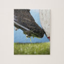 Recherche de rugby puzzles Sport