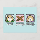 Recherche de poop cartes postales Cobaye
