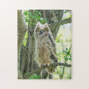 Zoek naar roofvogels puzzels Roofdier