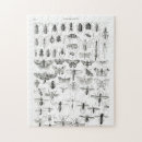 Recherche de entomologie Nature