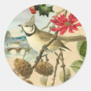 Recherche de oiseau de noël autocollants Rouge