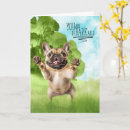 Recherche de chien frenchie vœux cartes Bouledogue français
