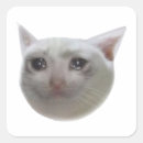 Recherche de meme de cri Mème