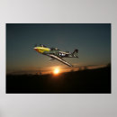 Recherche de p51 posters Mustang