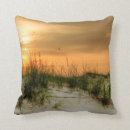 Recherche de mouettes coussins Photographie