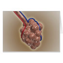 Recherche de vaisseaux sanguins cartes postales Soins de santé