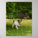 Zoek naar jack russell terrier kunst Doodsbang