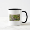 Recherche de nympheas tasses Monet