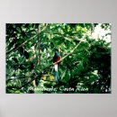 Recherche de achat en ligne posters Magasin