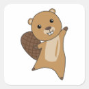 Zoek naar bevers stickers Knaagdier