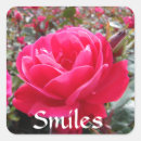 Recherche de love romance Fleur