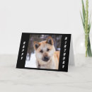 Recherche de akita vœux cartes Drôle