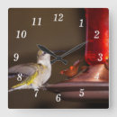 Recherche de rubis horloges Colibri