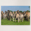 Zoek naar wild horses puzzels Dieren