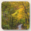 Recherche de dur bord Automne