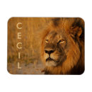 Recherche de afrique magnets Lions