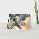 Zoek naar windhond hond kaarten Greyhounds