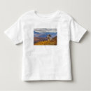 Recherche de dali Alaska