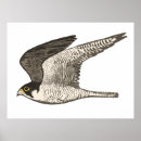 Zoek naar potlood tekening Natuur