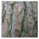 Recherche de pin carreaux Écorce