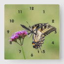 Recherche de oriental horloges Nature