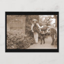 Recherche de donkey cartes postales Burro