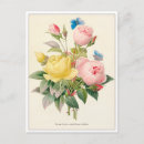 Recherche de pierre joseph cartes postales Redoute