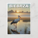 Recherche de cigognes cartes postales Europe