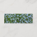 Recherche de marais cartes visite Fleurs