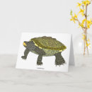 Recherche de terrapin vœux cartes Faune