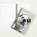 Recherche de chien de taureau bureau fournitures Bulldog