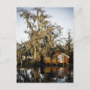 Recherche de marais cartes postales Photographie