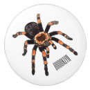 Recherche de araignée boutons et poignées de porte Insecte