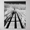 Recherche de arbre blanc posters Créatif