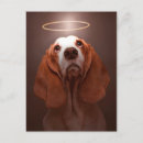 Recherche de contrebasse cartes postales Basset hound