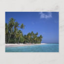 Recherche de plage palmier cartes postales Paysage