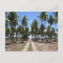 Recherche de paradis cartes postales Travel