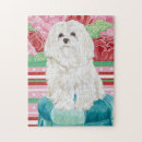 Zoek naar malta puzzels Gezelschapsdieren