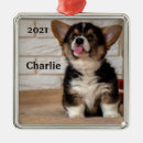 Recherche de pembroke welsh corgi ornements Animal