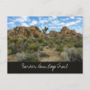Recherche de arbre joshua cartes postales Randonnée