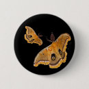 Recherche de mite badges Ailes